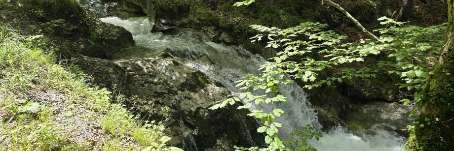 Jakobusgemeinschaft Rohrdorf e.V.