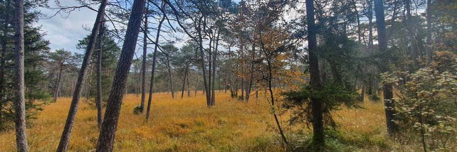 Jakobusgemeinschaft Rohrdorf e.V.